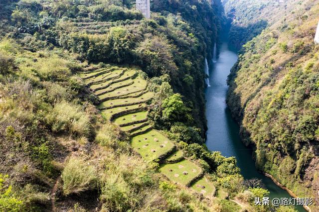 隱居深山10年！她花4百萬元「住到懸崖峭壁上」　天天養魚怡然自得「年收入竟破百萬」樂享仙境生活