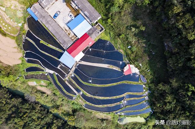 隱居深山10年！她花4百萬元「住到懸崖峭壁上」　天天養魚怡然自得「年收入竟破百萬」樂享仙境生活