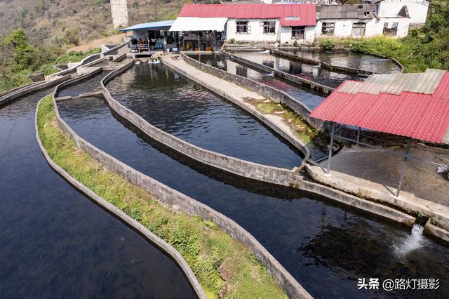 隱居深山10年！她花4百萬元「住到懸崖峭壁上」　天天養魚怡然自得「年收入竟破百萬」樂享仙境生活