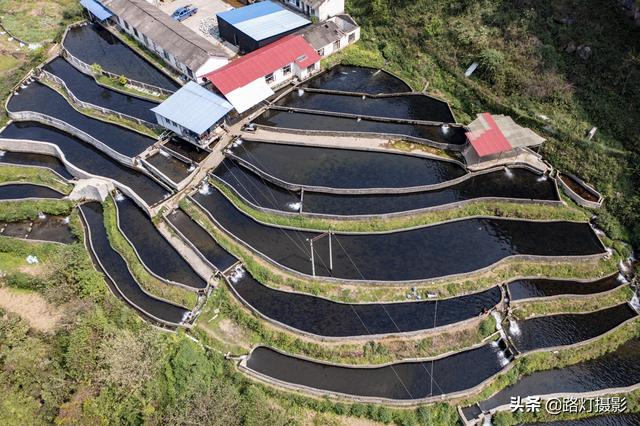 隱居深山10年！她花4百萬元「住到懸崖峭壁上」　天天養魚怡然自得「年收入竟破百萬」樂享仙境生活