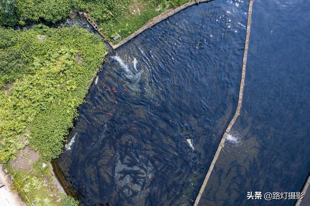隱居深山10年！她花4百萬元「住到懸崖峭壁上」　天天養魚怡然自得「年收入竟破百萬」樂享仙境生活
