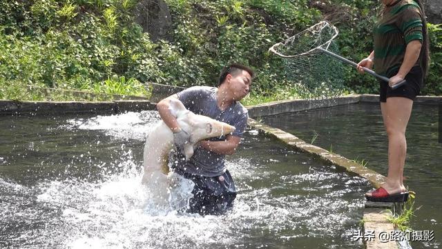 隱居深山10年！她花4百萬元「住到懸崖峭壁上」　天天養魚怡然自得「年收入竟破百萬」樂享仙境生活
