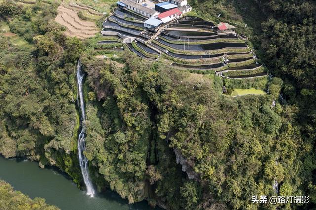 隱居深山10年！她花4百萬元「住到懸崖峭壁上」　天天養魚怡然自得「年收入竟破百萬」樂享仙境生活