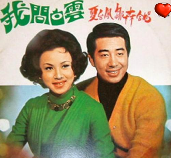 歌手出道演戲爆紅！卻被騙婚13年「40歲遇真愛再嫁」66歲又痛失獨子　今「76歲看淡人生」樂享晚年