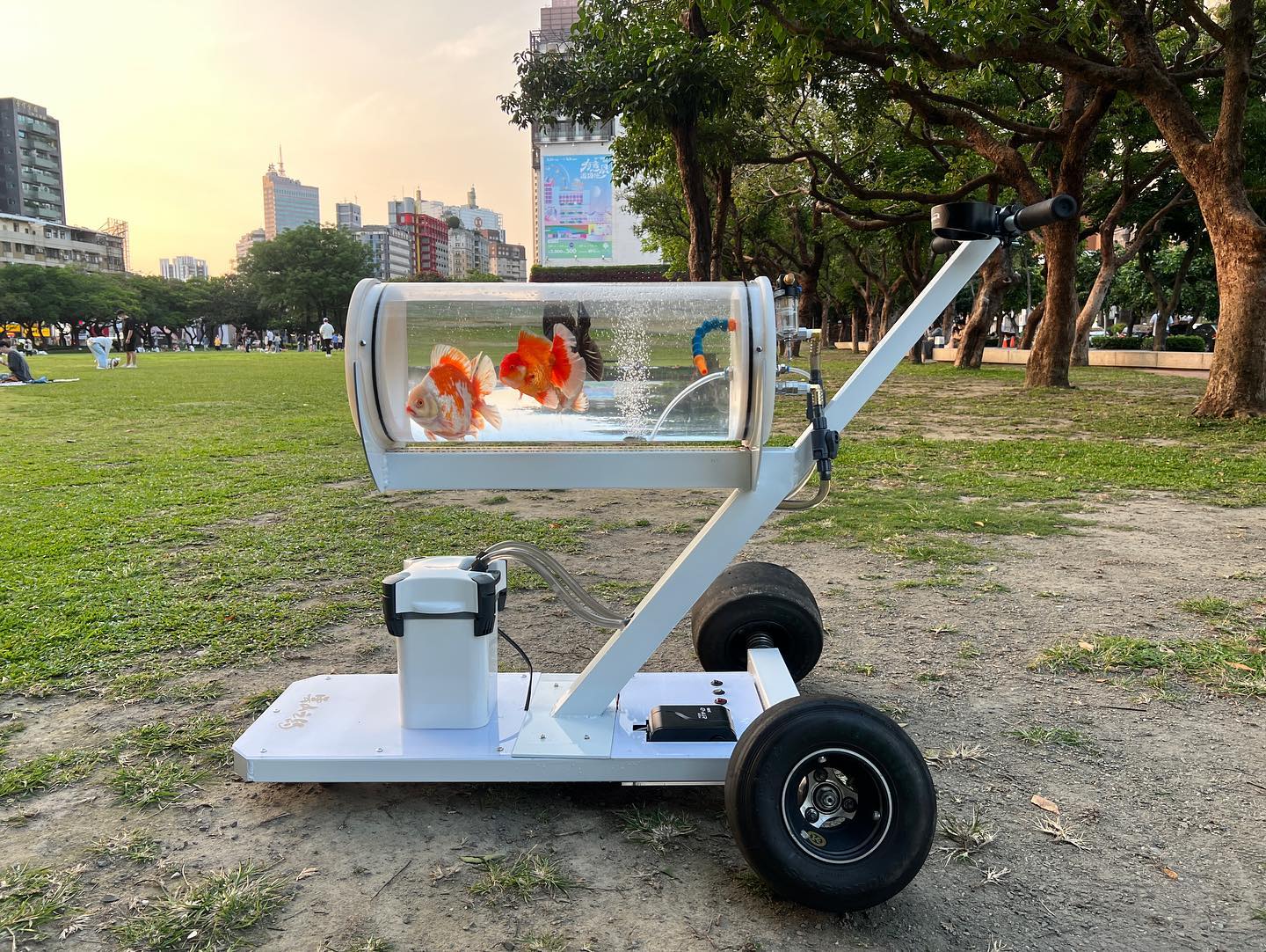 回頭率百分百！馬路邊驚見男子「DIY遛魚手推車」帶金魚逛街　被起底「主人身分不簡單」路人猛拍