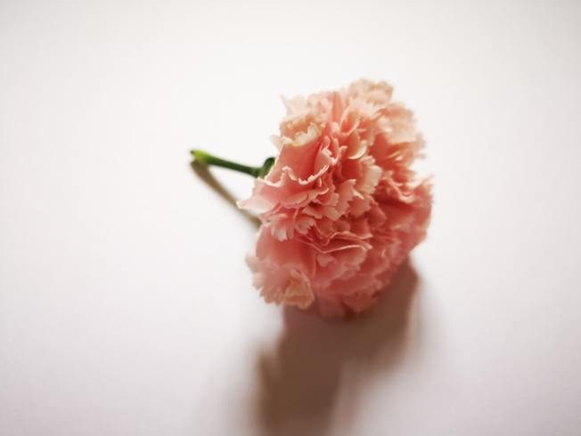最難忘的母親節！單親爸「突帶愛女買內衣」下秒表情沈重返家　「背後原因曝光」為父深情逼哭萬人