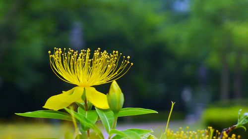 別不信！城府深「最不好惹」的五大生肖　「發起火來連自己都怕」千萬不要去招惹他們