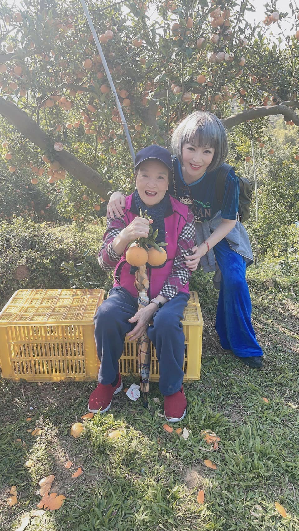 57歲辣姊曝光！曾莞婷「合體內衣皇后亮相」曝18年姊妹緣　副業全賠光「投資自己最賺」