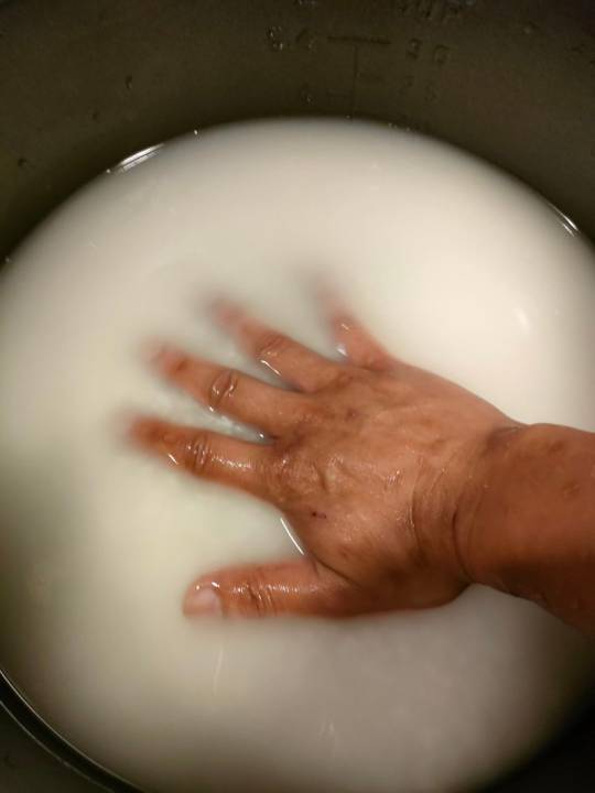不需用量杯！他曝阿公祖傳「煮飯加水秘訣」一隻手掌就搞定　網讚：先人的智慧