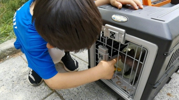 「剛出生幼犬」找不到媽先收編！養2個月卻「長不大、也無狗屎味」鑑定發現：撿到寶了