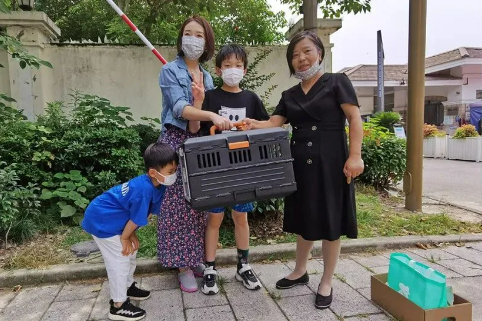「剛出生幼犬」找不到媽先收編！養2個月卻「長不大、也無狗屎味」鑑定發現：撿到寶了