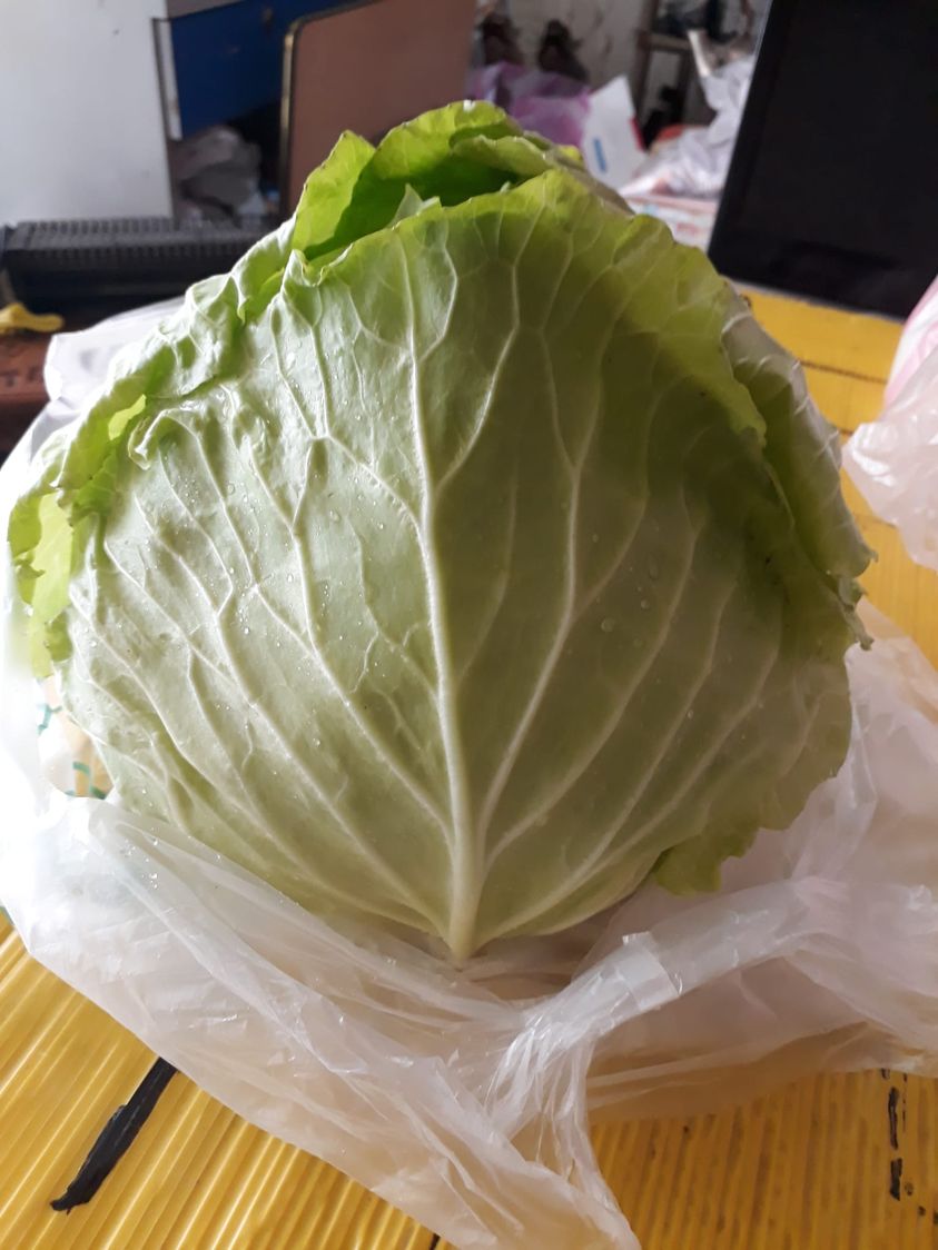 高麗菜也分公母？專家曝「一招從外觀判別」　激推「公的又脆又甜」：市面很稀有