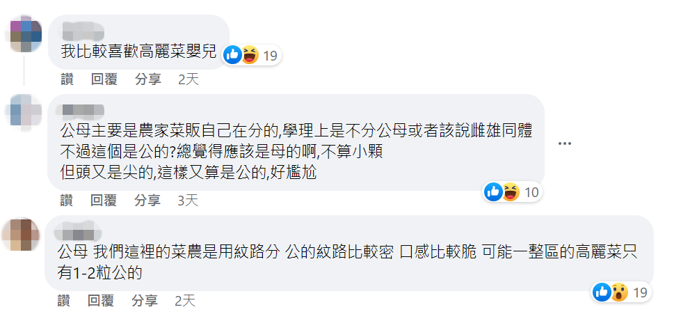 高麗菜也分公母？專家曝「一招從外觀判別」　激推「公的又脆又甜」：市面很稀有
