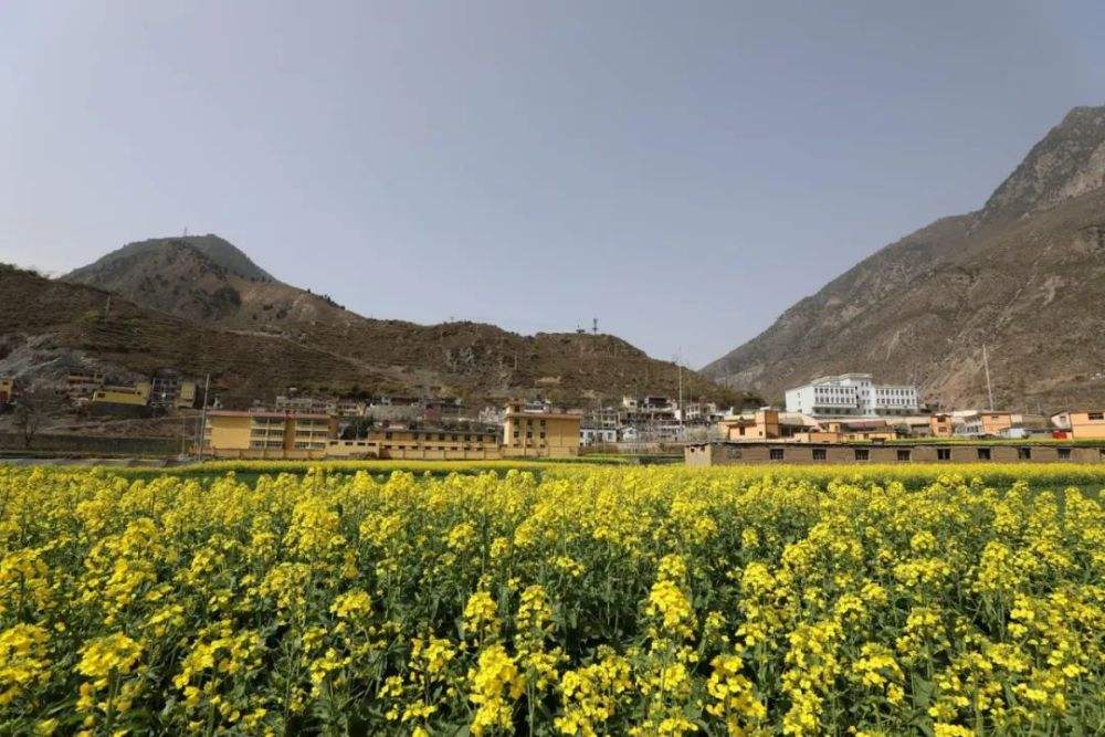 離奇曲折！女孩帶未婚夫「祭拜初戀男友」卻找不到墓地　在鐵籠中「見到活人」真相曝光