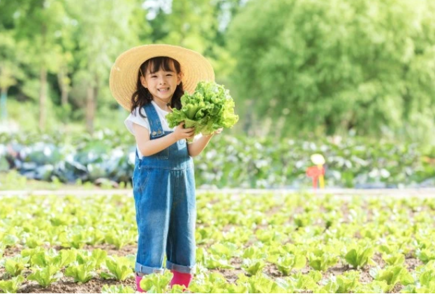 先答應我「4點要求」我才幫帶孫子！婆婆的高情商「被讚人間清醒」3年後應驗有先見之明