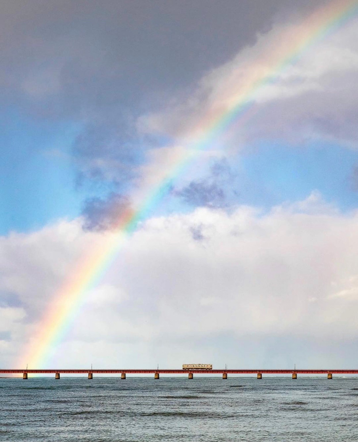 置身宮崎駿世界！超夢幻「漂浮海上火車」駛過一片湛藍　望向窗外「彷彿穿越遺世秘境」美到屏息❤️