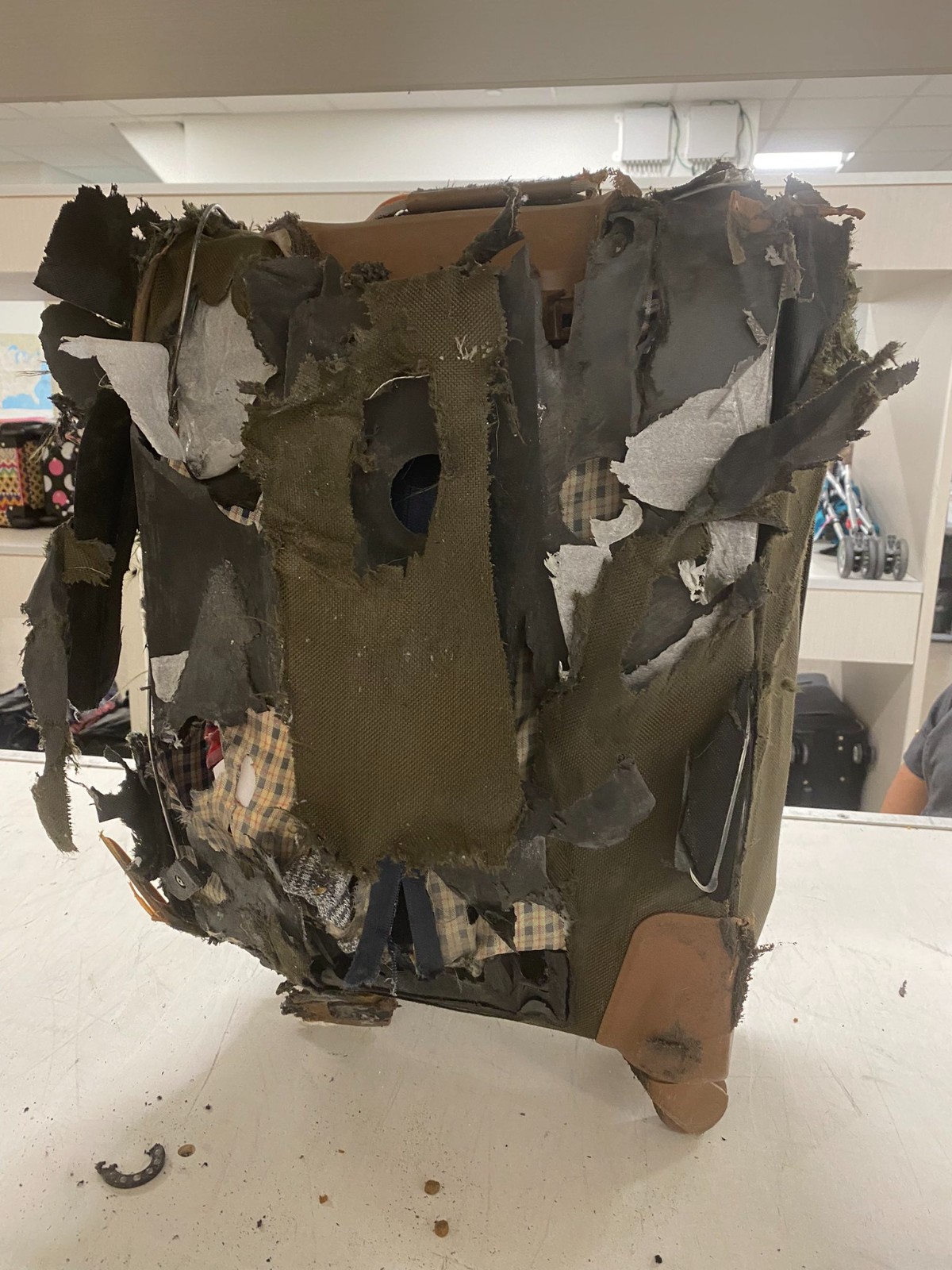 是被丟進攪碎機?她搭飛機「領回破爛行李箱」直接爆廢 近看「滾輪直接斷2個」內行搖頭曝原因