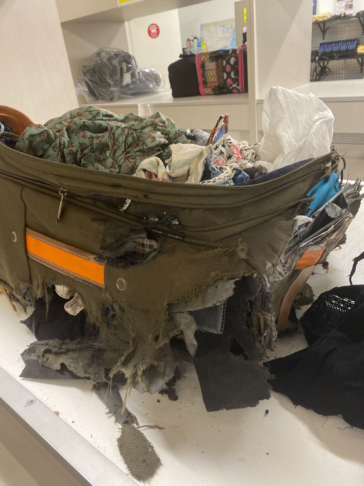是被丟進攪碎機?她搭飛機「領回破爛行李箱」直接爆廢 近看「滾輪直接斷2個」內行搖頭曝原因