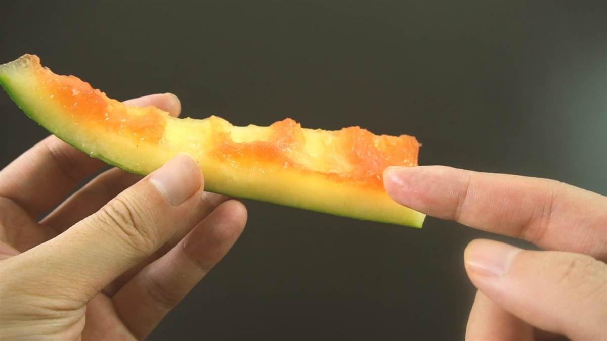 家裡有蟑螂不用怕！只需一個「西瓜皮」輕鬆消滅牠　實用秘方：2天就見效