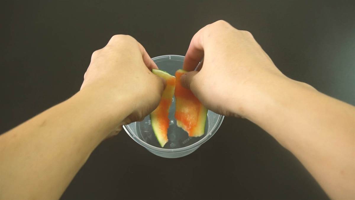 家裡有蟑螂不用怕！只需一個「西瓜皮」輕鬆消滅牠　實用秘方：2天就見效