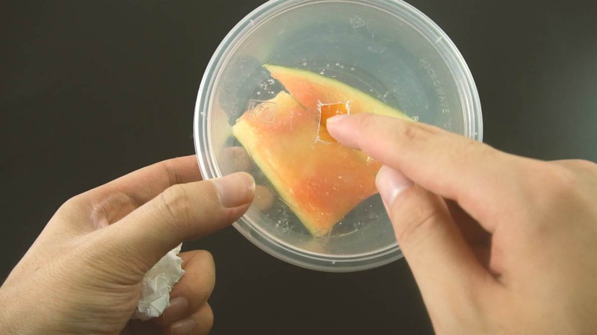 家裡有蟑螂不用怕！只需一個「西瓜皮」輕鬆消滅牠　實用秘方：2天就見效