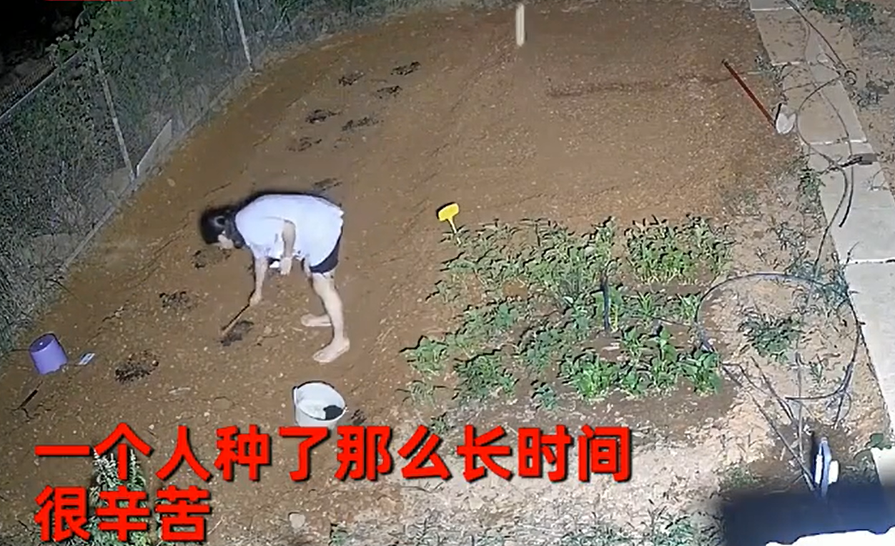 消失長達3小時！人妻下班回家「晚上外出到深夜」　尪一調監視器「眼前畫面好心疼」