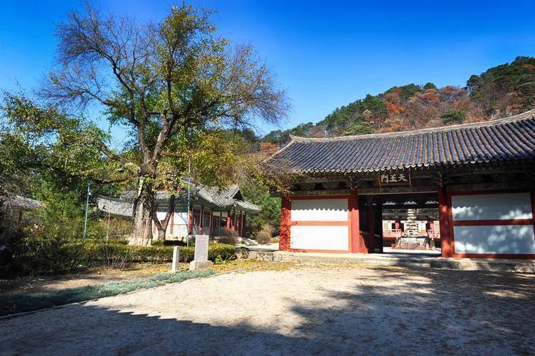 個個長相不俗！3姐妹「集體出家」削髮為尼　兩個成為「寺院住持」父母以此為榮：她們是家裡的福報