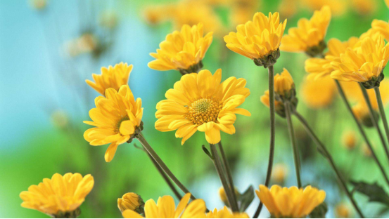 好人有好報 !「天生好心腸」的6個生肖 連菩薩都「偏愛」一輩子福祿相隨