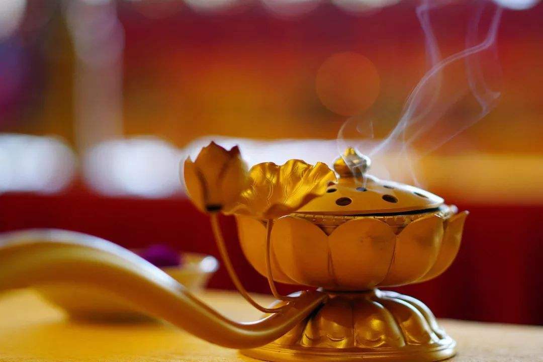 12生肖的福報歸屬!你屬什麼生肖「你的福報就在哪」 屬鼠人「聰明勤快」福報財運旺