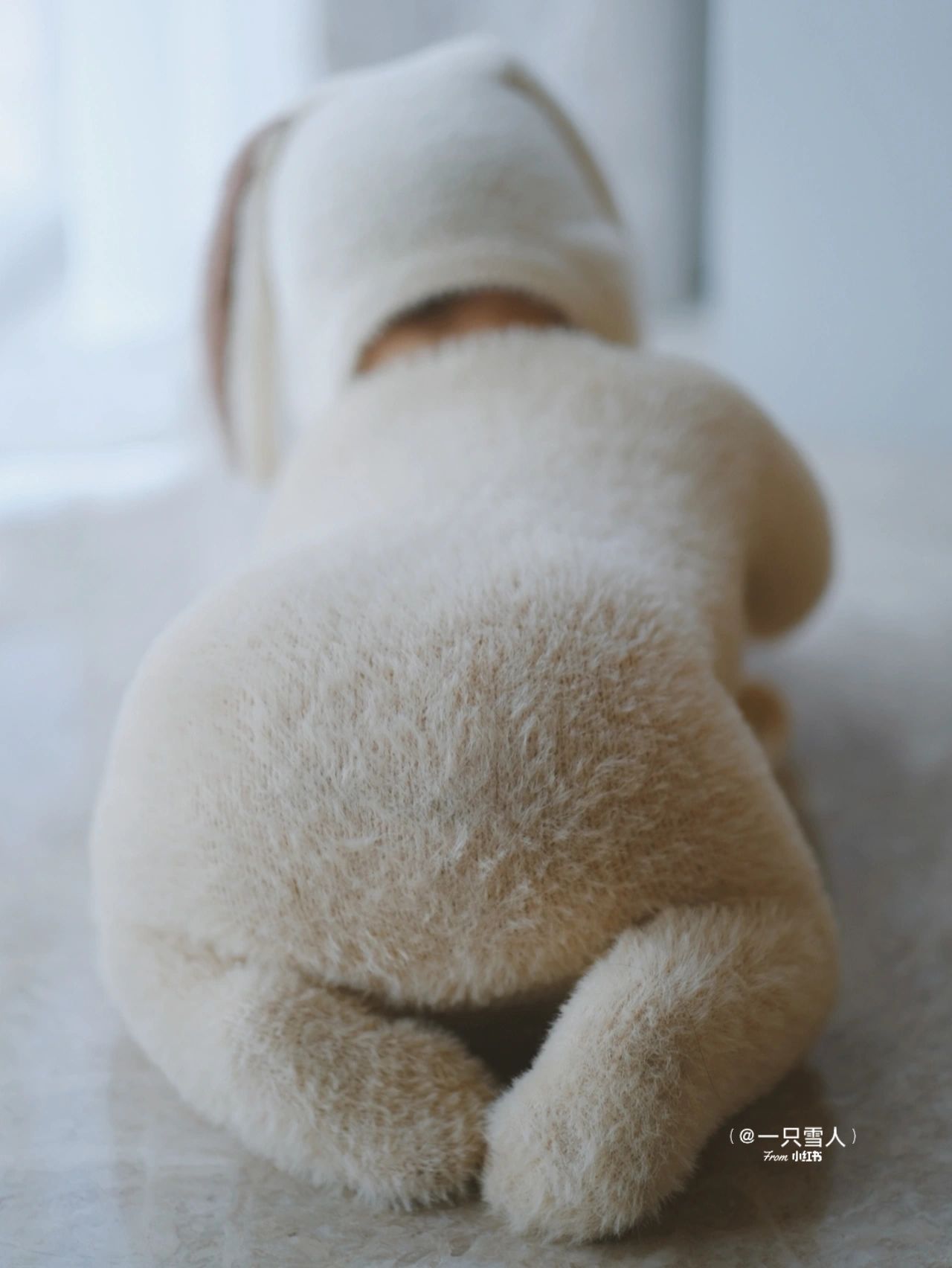 偷戳肥嫩小腳腳❤️小寶寶「化身毛茸茸泰迪熊」冬天超暖和 媽媽曬出「肉嘟嘟正臉照」嘴邊肉太犯規