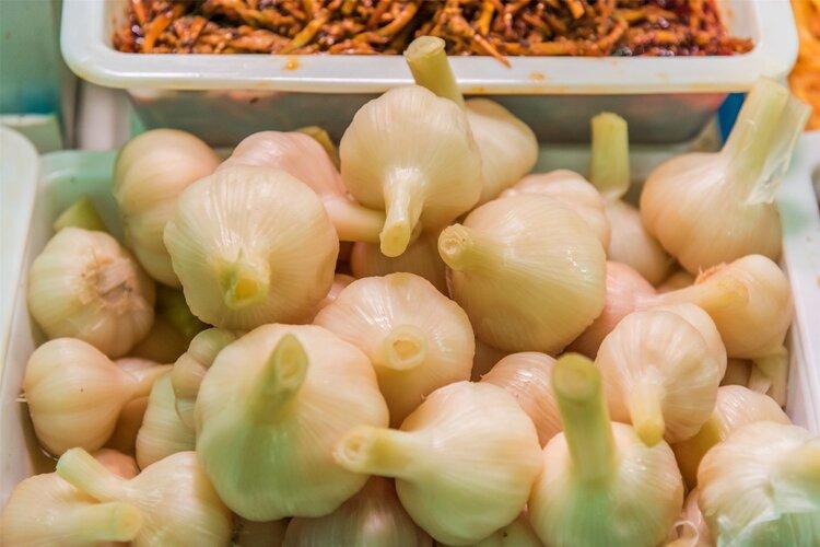 63歲男胃痛！堅持每天「生吃大蒜」滅菌抗腫瘤　3個月後去檢查醫生說：來得太晚了