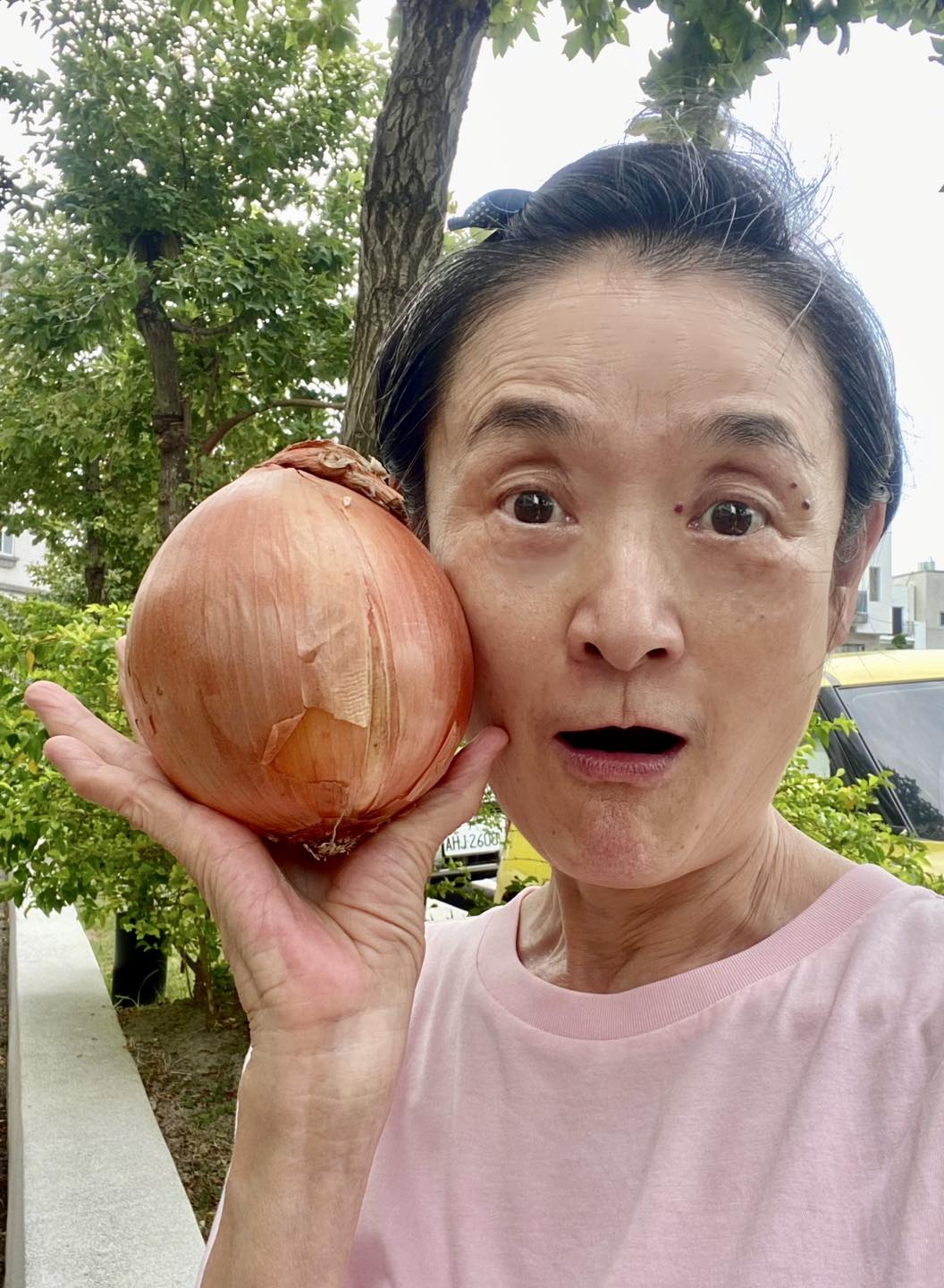 一頭熱做愛心！譚艾珍「把70隻流浪動物救回家」搞到傾家蕩產　「老公臨終前交代」她頓時驚醒：要適可而止