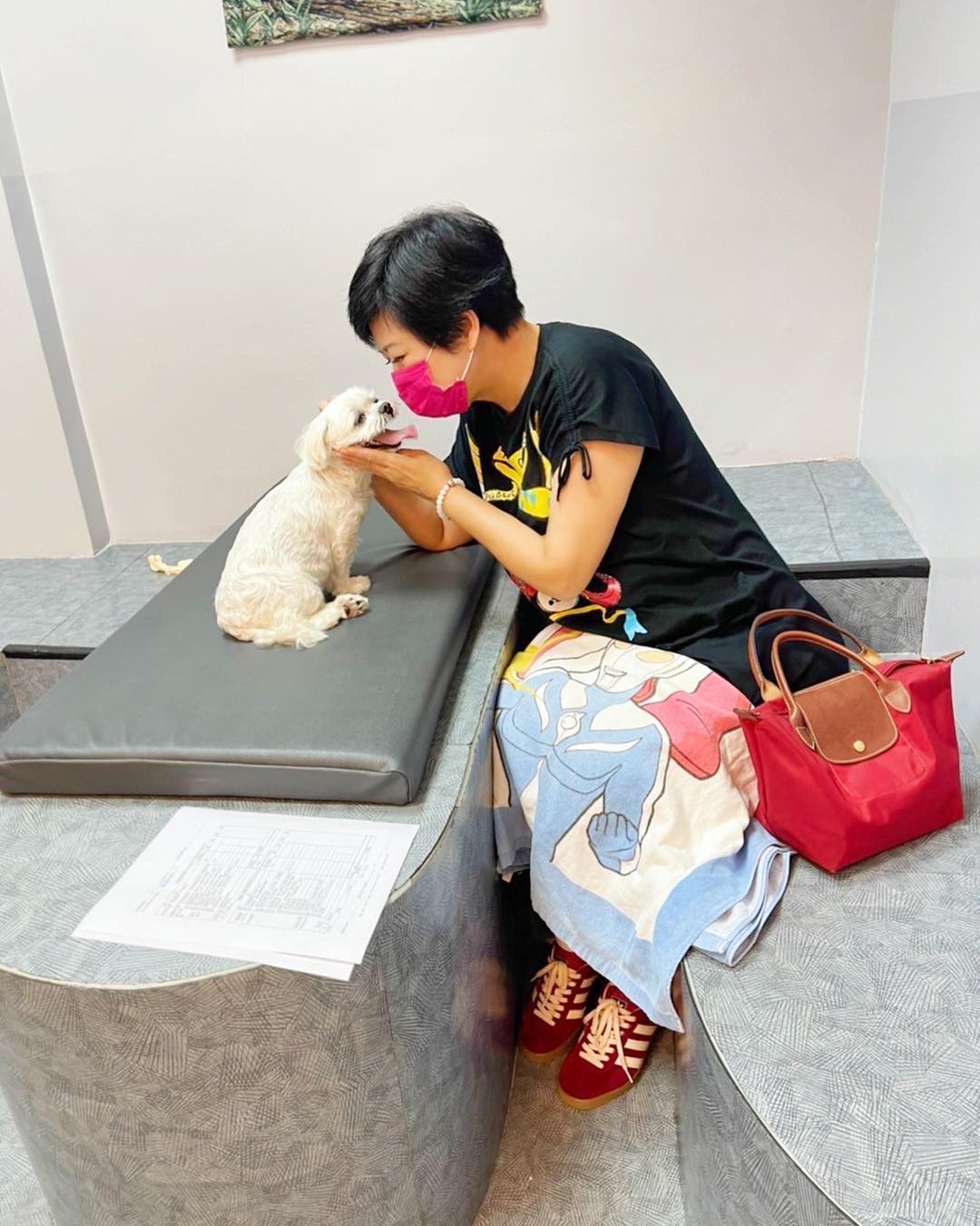 愛犬恐殘廢！崔佩儀二話不說「秒砸12萬救治」　霸氣喊「錢再賺就有」早已是女兒