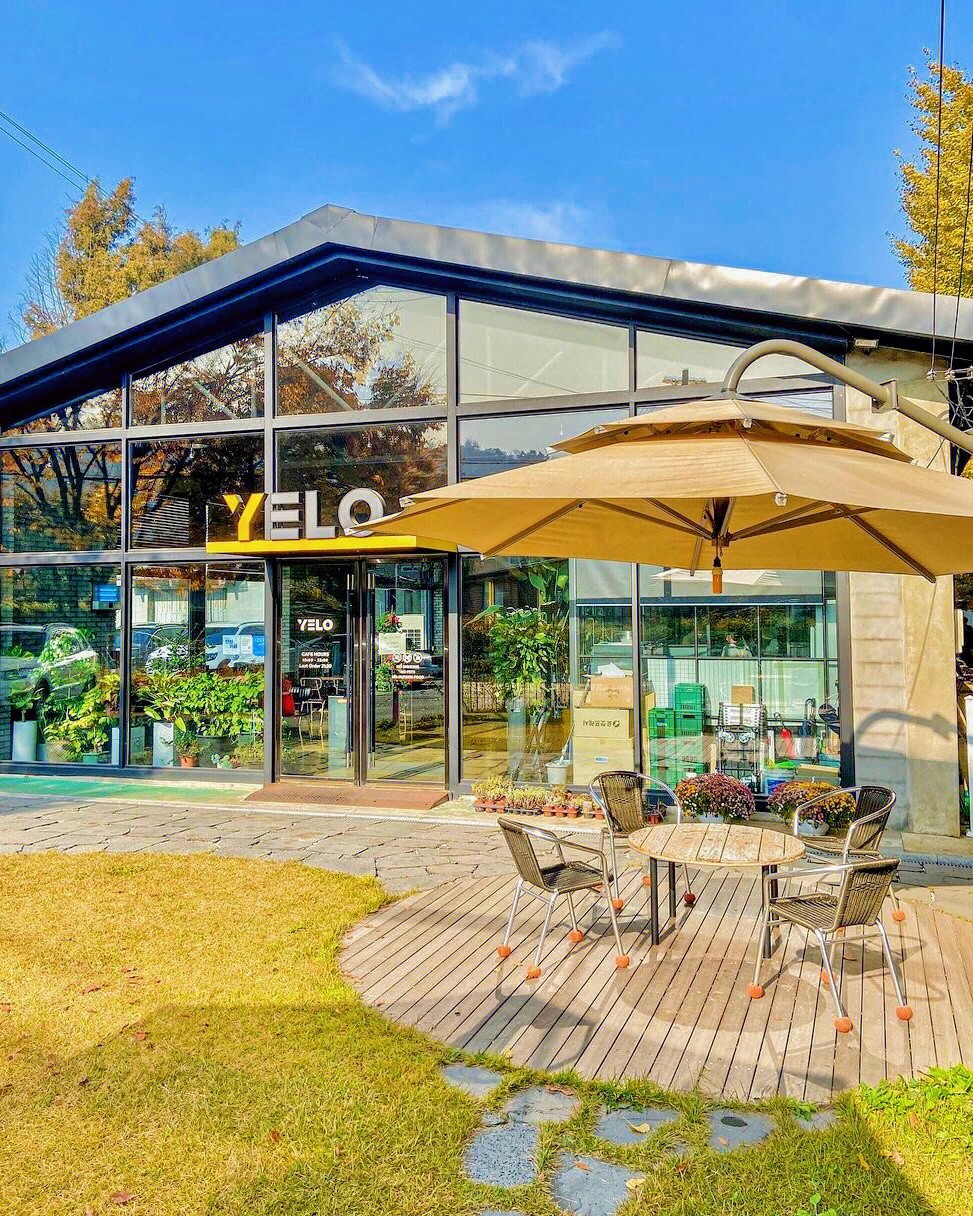 絕美黃金地毯！舊倉庫變身「金黃色咖啡屋」無比夢幻　室內座位「大片窗框進楓林」比油畫還浪漫❤️