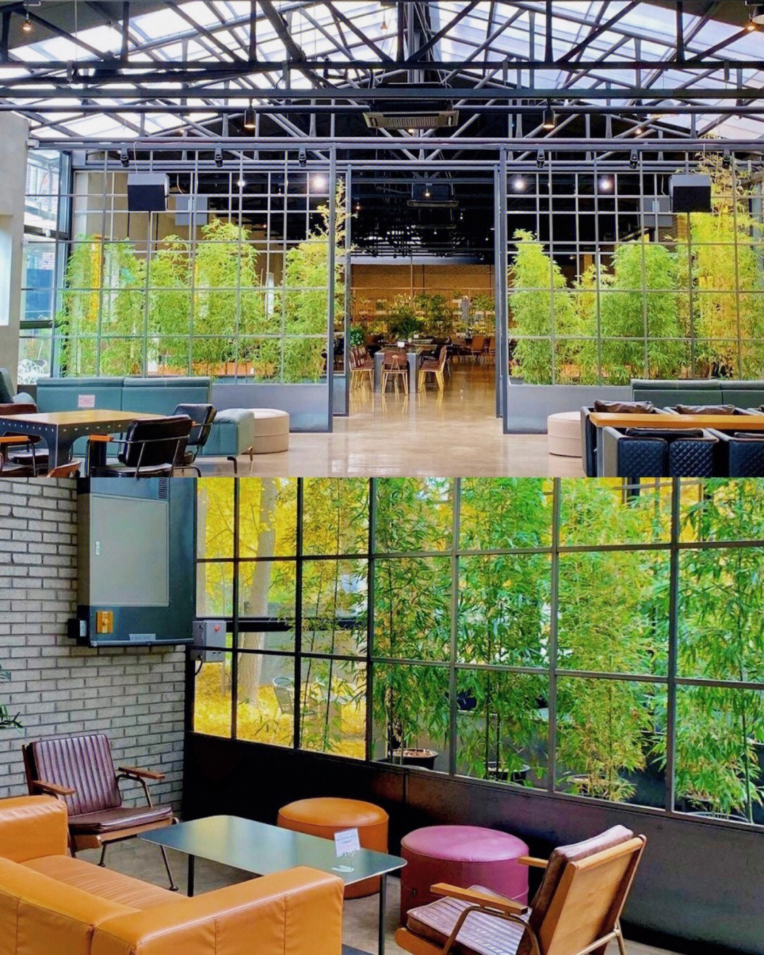 絕美黃金地毯！舊倉庫變身「金黃色咖啡屋」無比夢幻　室內座位「大片窗框進楓林」比油畫還浪漫❤️