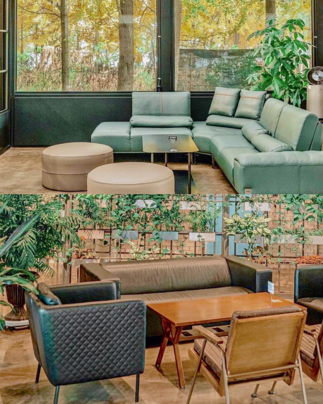 絕美黃金地毯！舊倉庫變身「金黃色咖啡屋」無比夢幻　室內座位「大片窗框進楓林」比油畫還浪漫❤️