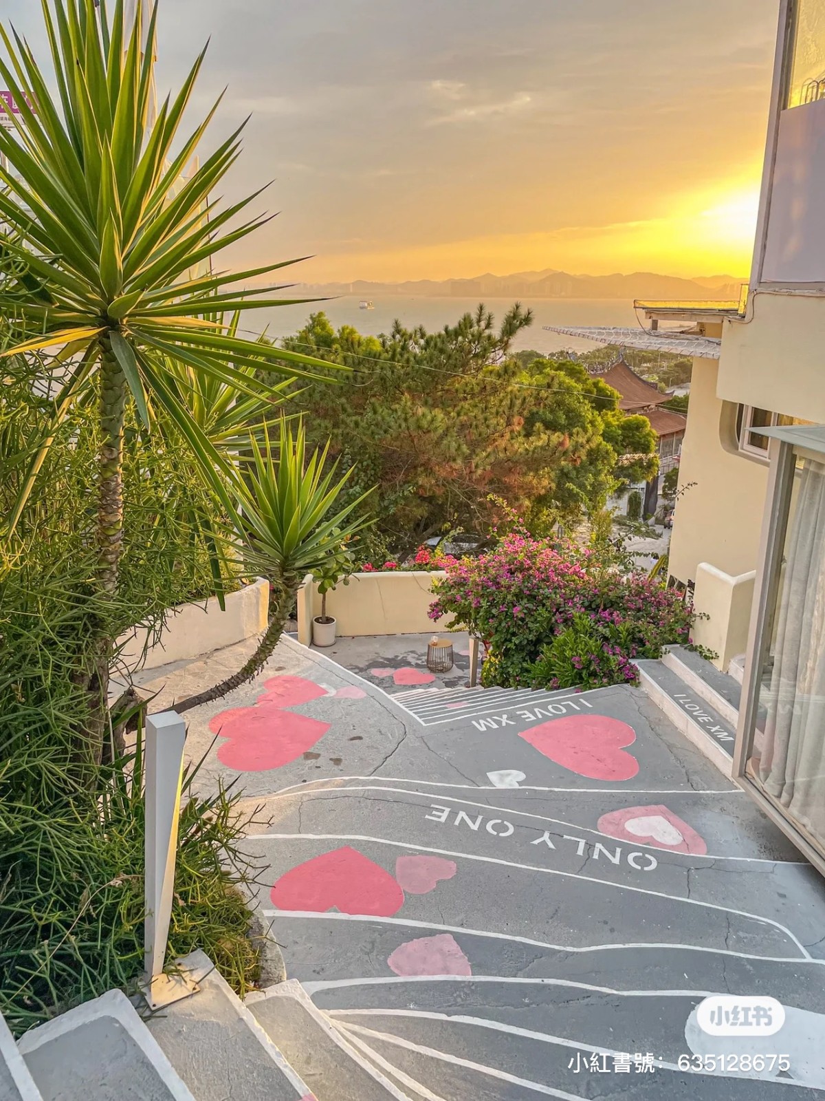 露天餐廳看電影！燈火閃爍「異國感咖啡廳」賞壯觀夜景　從早坐到晚「日落海景一次看」浪漫無敵❤️