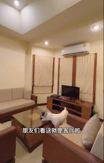 人生最後的禮物！79歲奶奶花1年半打造「百坪夢幻退休宅」　「一樓開放式廚房」美到目不轉睛：女人的天堂