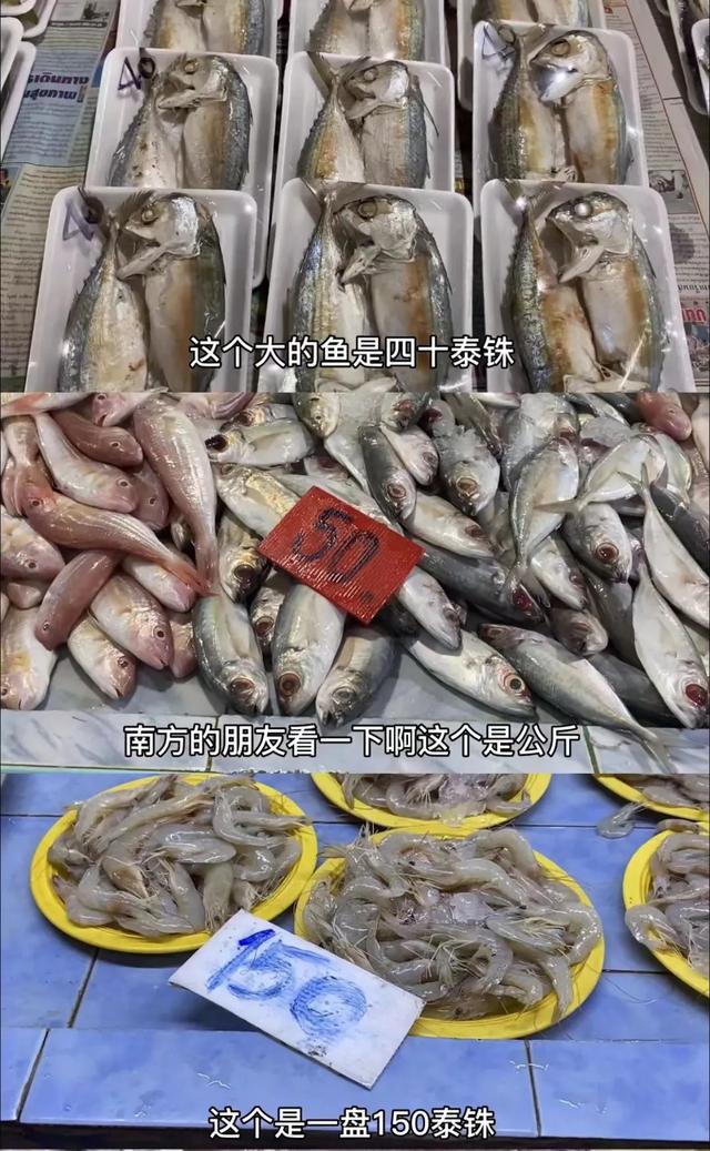 人生最後的禮物！79歲奶奶花1年半打造「百坪夢幻退休宅」　「一樓開放式廚房」美到目不轉睛：女人的天堂