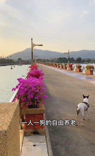 人生最後的禮物！79歲奶奶花1年半打造「百坪夢幻退休宅」　「一樓開放式廚房」美到目不轉睛：女人的天堂