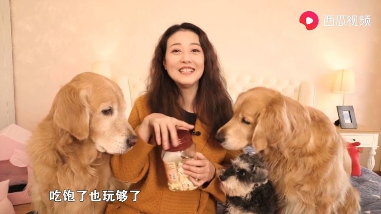 福態藏不住！55歲周海媚「做菜擠出雙下巴」被酸年華老去　霸氣回擊「曝光超大歐式豪宅」狗狗當兒養