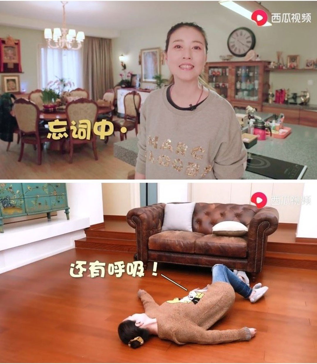 福態藏不住！55歲周海媚「做菜擠出雙下巴」被酸年華老去　霸氣回擊「曝光超大歐式豪宅」狗狗當兒養