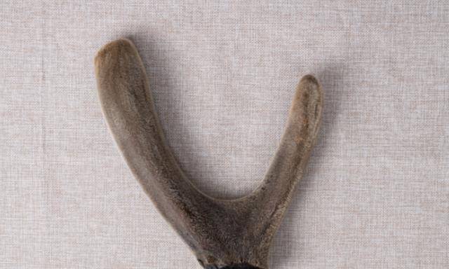 丈夫掉落懸崖而死!五年後妻子「從照片中發現玄機」 臉色變得煞白:立馬要搬家離開