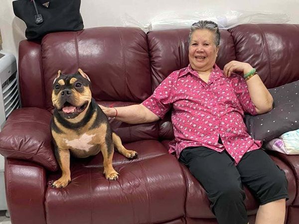 阿嬤打電話求救「院子裡有蛇」！孫子「火速衝回家」瞬間傻眼：怎麼是它...