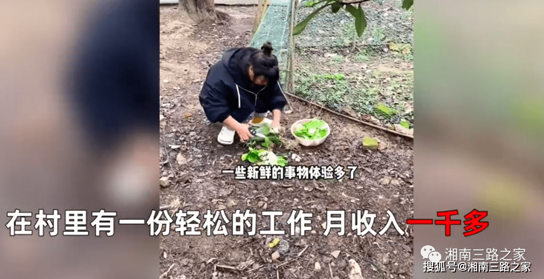 未婚未育！30歲女子辭職獨居農村「每天只上半天班」很快活　「人生不想將就」掀兩派論戰