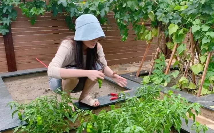 未婚未育！30歲女子辭職獨居農村「每天只上半天班」很快活　「人生不想將就」掀兩派論戰