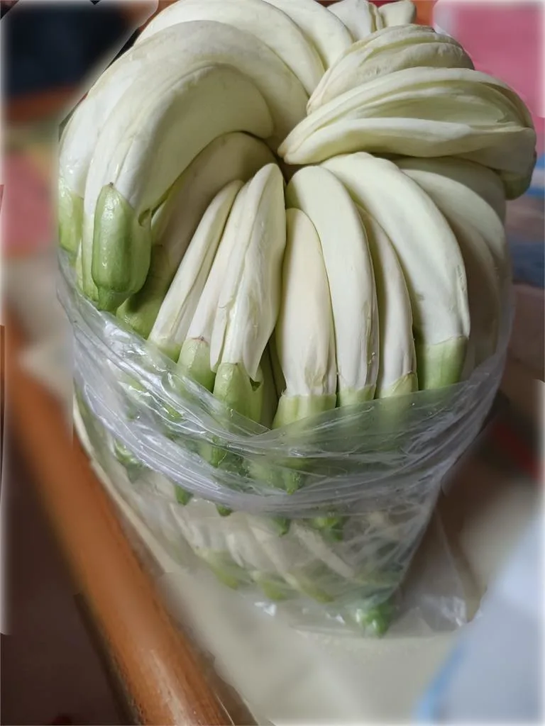 以為是一朵花！鄰居送「超奇怪蔬菜」不知道怎麼煮　大家一看秒懂「怎麼料理都好吃」比肉還營養