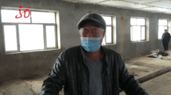 半夜幫母豬接生！農村壯丁「最後竟然掛了」倒臥不起　年邁父「目擊兒子屍體」悲痛揪原因：豬也全死了