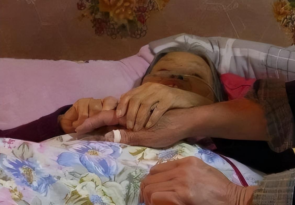 被罵白眼狼！博士生「棄養父母20年」母親病危拒見最後一面　「7字回復」網友瞬間倒戈：他沒有錯