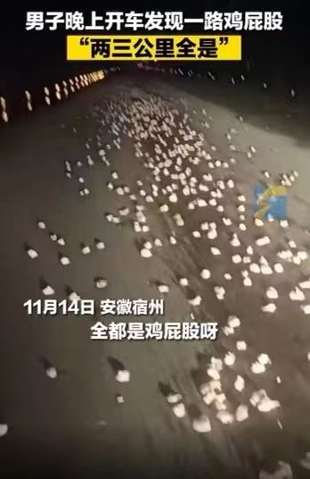 超詭異！男子開夜車發現地上白花花一片「以為是棉花」　下車查看被嚇破膽：撒了3公里，不敢撿